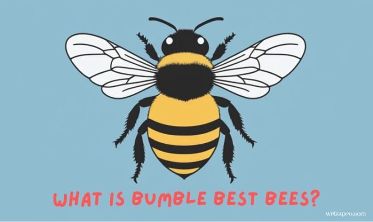What is Bumble Best Bees